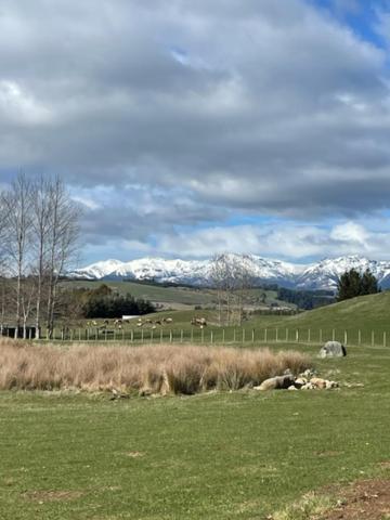 Boutique Tiny House - Te Anau Country Accommodation Buitenkant foto