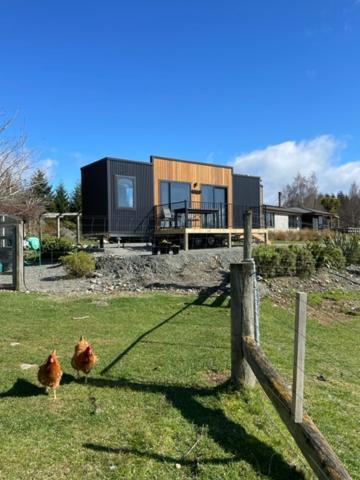 Boutique Tiny House - Te Anau Country Accommodation Buitenkant foto